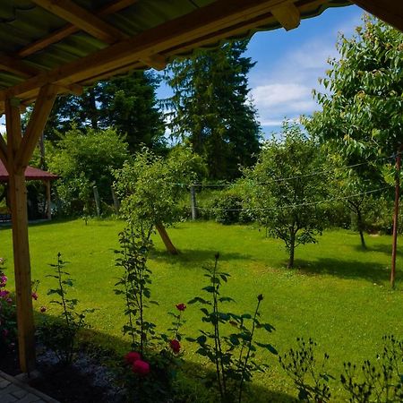 Pension Verona Centru Cluj-Napoca Eksteriør billede